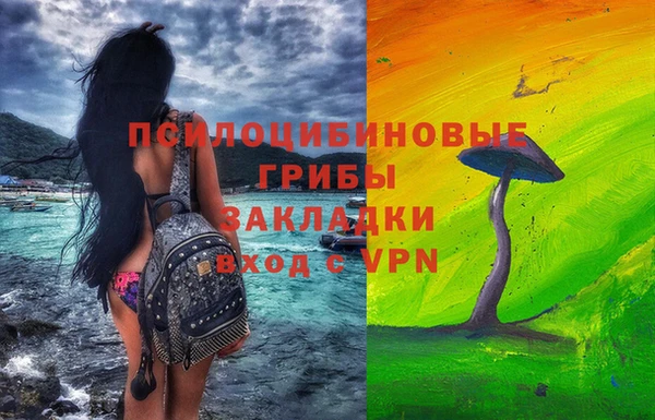 СК Аркадак